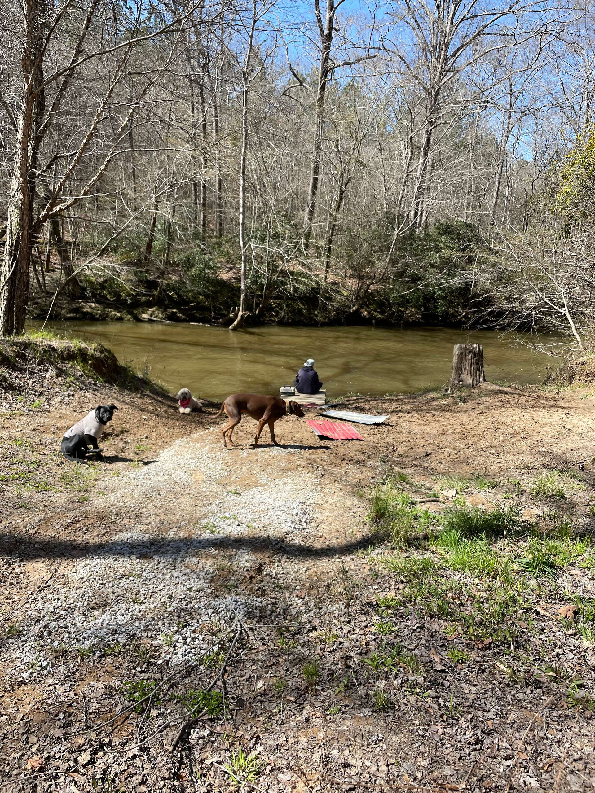 Your Tallapoosa River Hideaway!