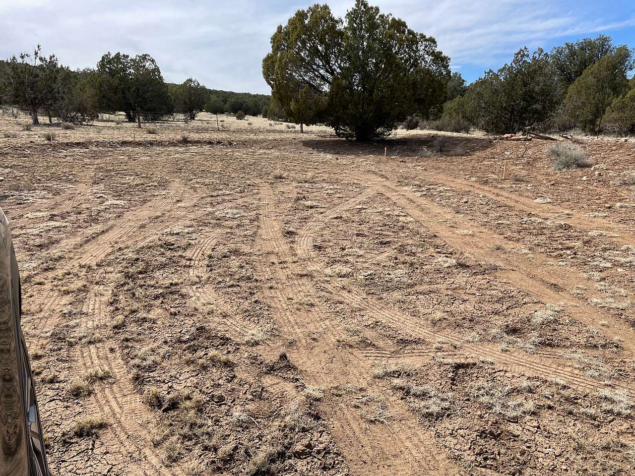 Camping near Seligman, AZ!