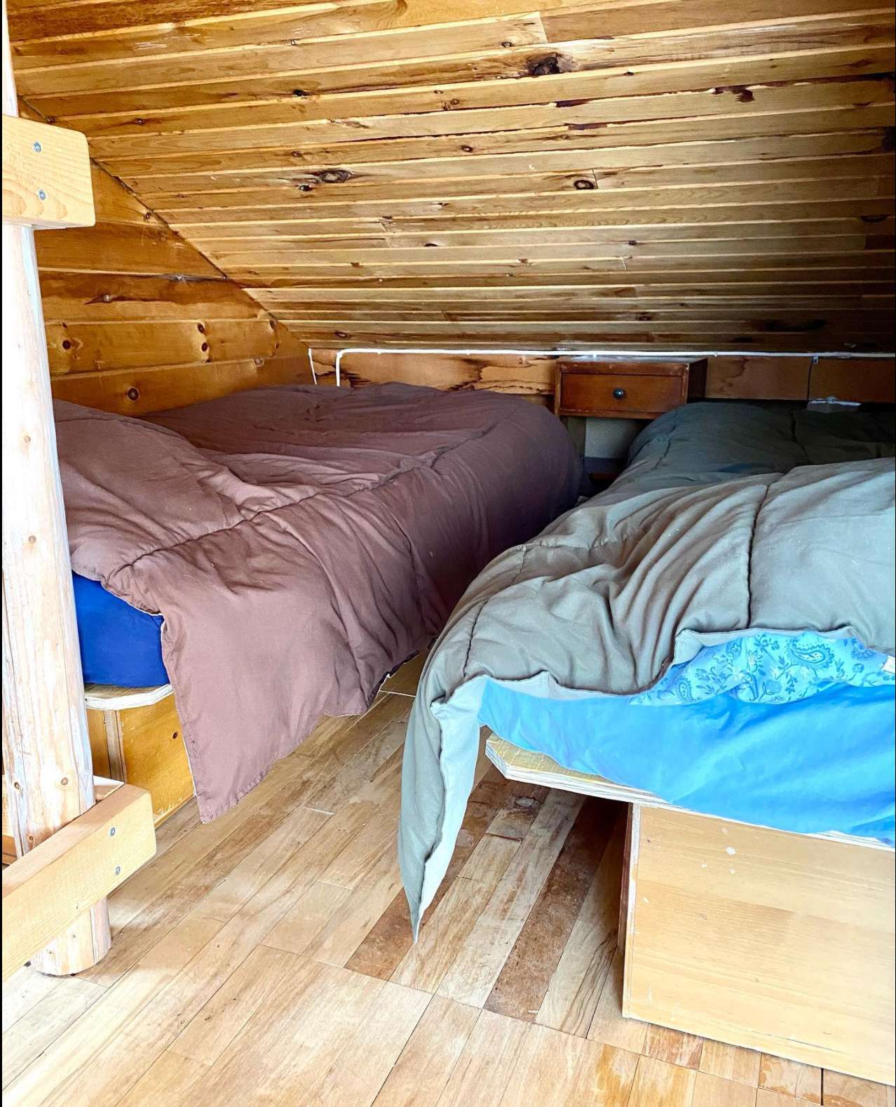 Ellens Cabin