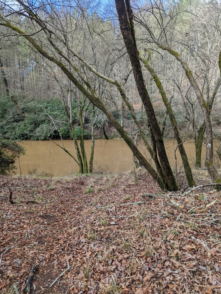 The Tallapoosa Hideaway: Wilderness Retreat