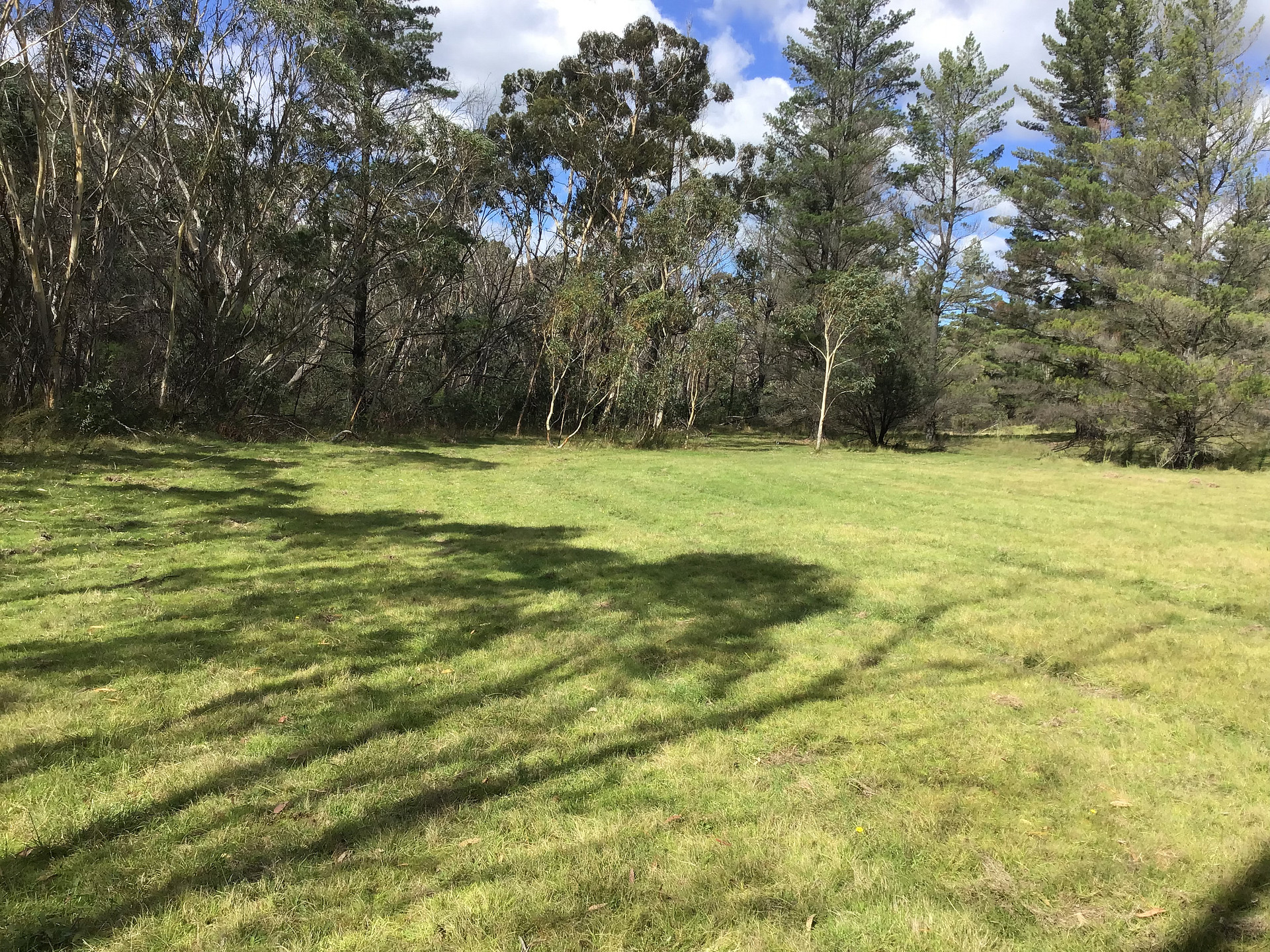 Grassy Gully
