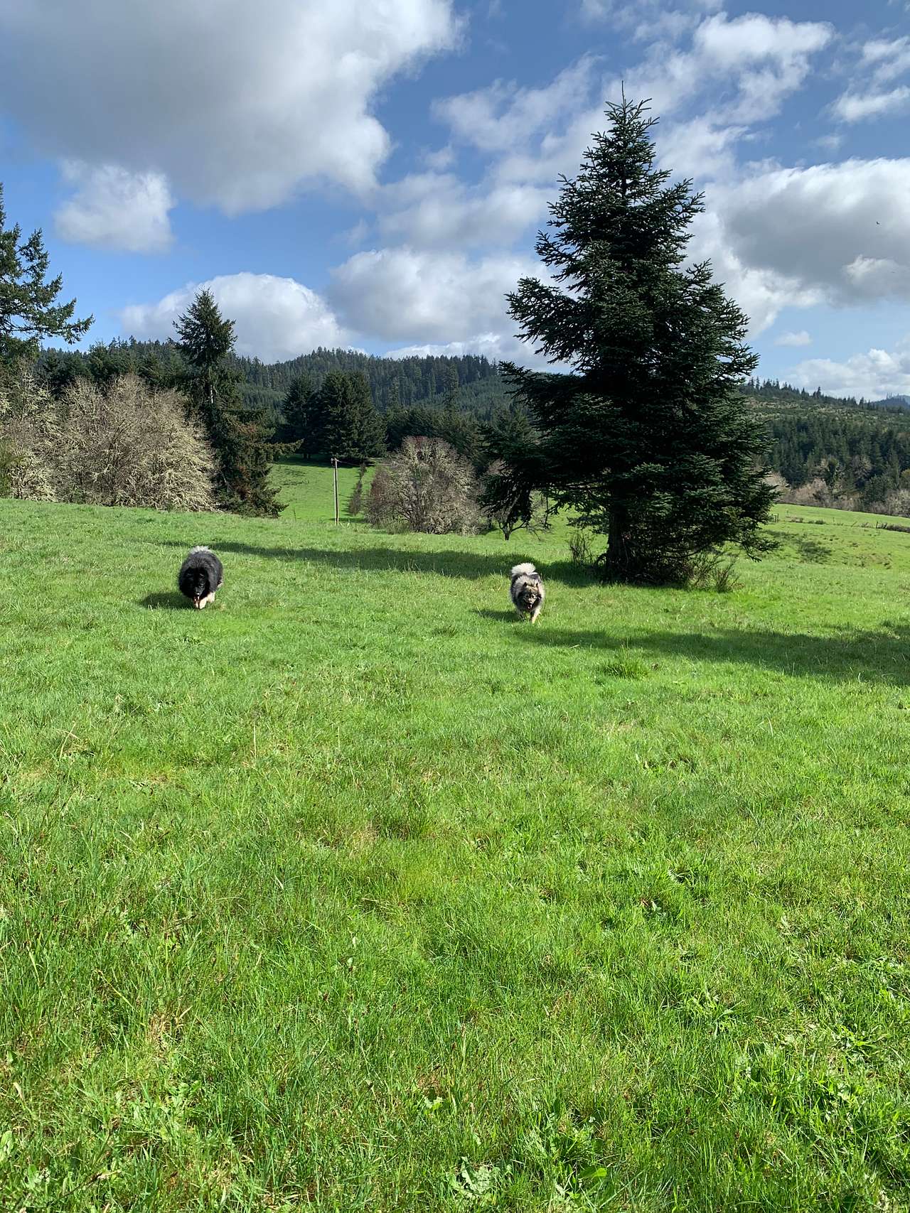Woodland Hills Ranch