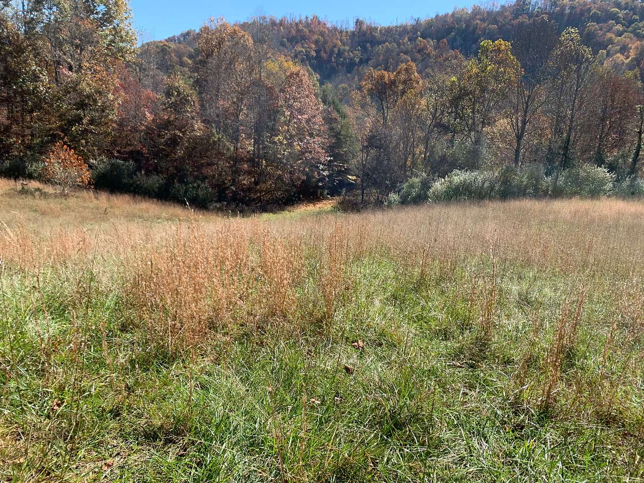 Whippoorwill Hill