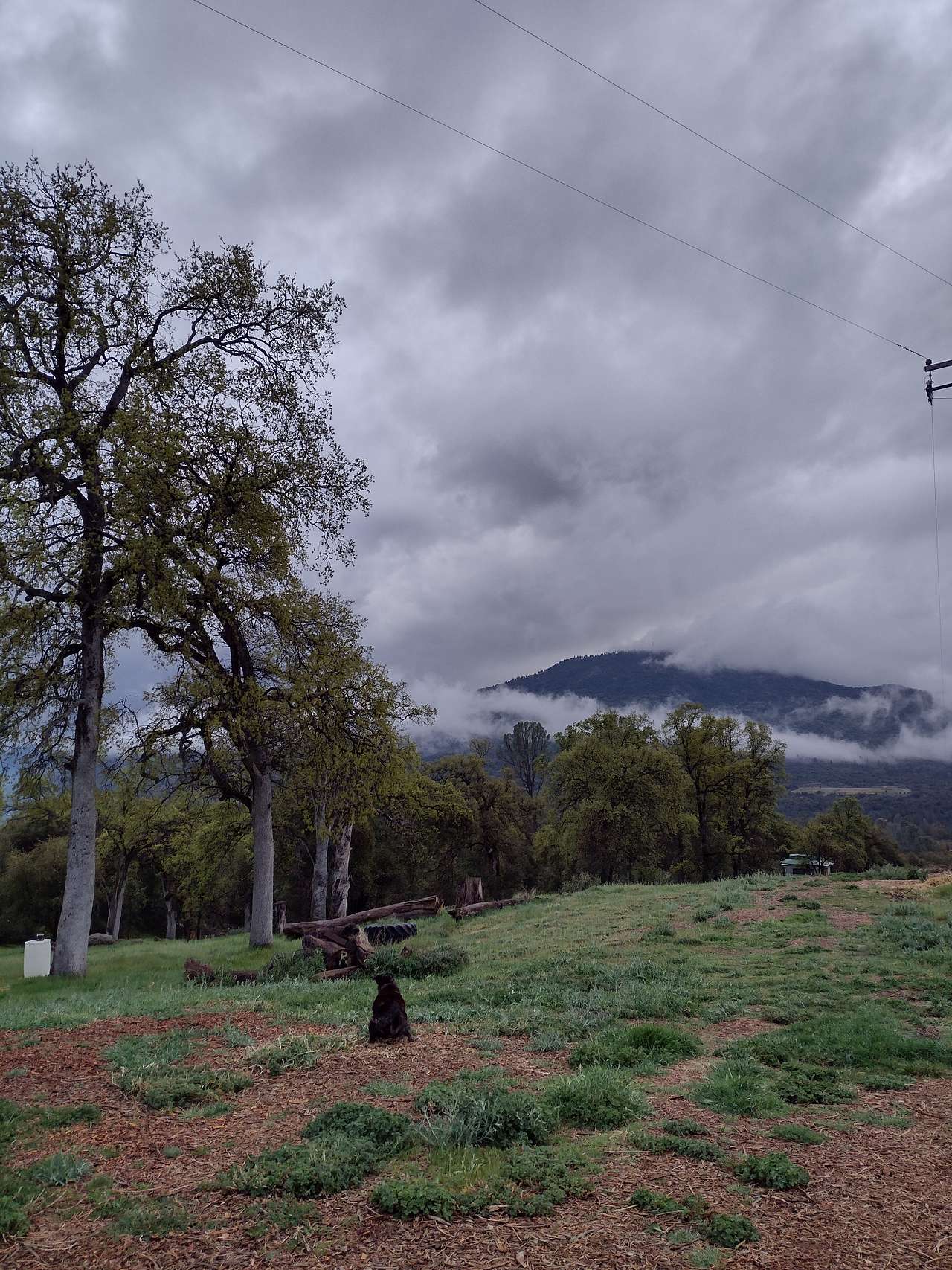 After spring rains, the mornings often give rise to mist and low, drifting clouds.