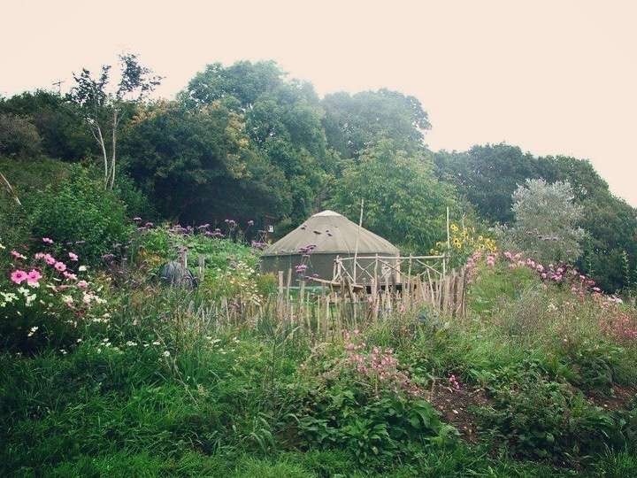 Holyford