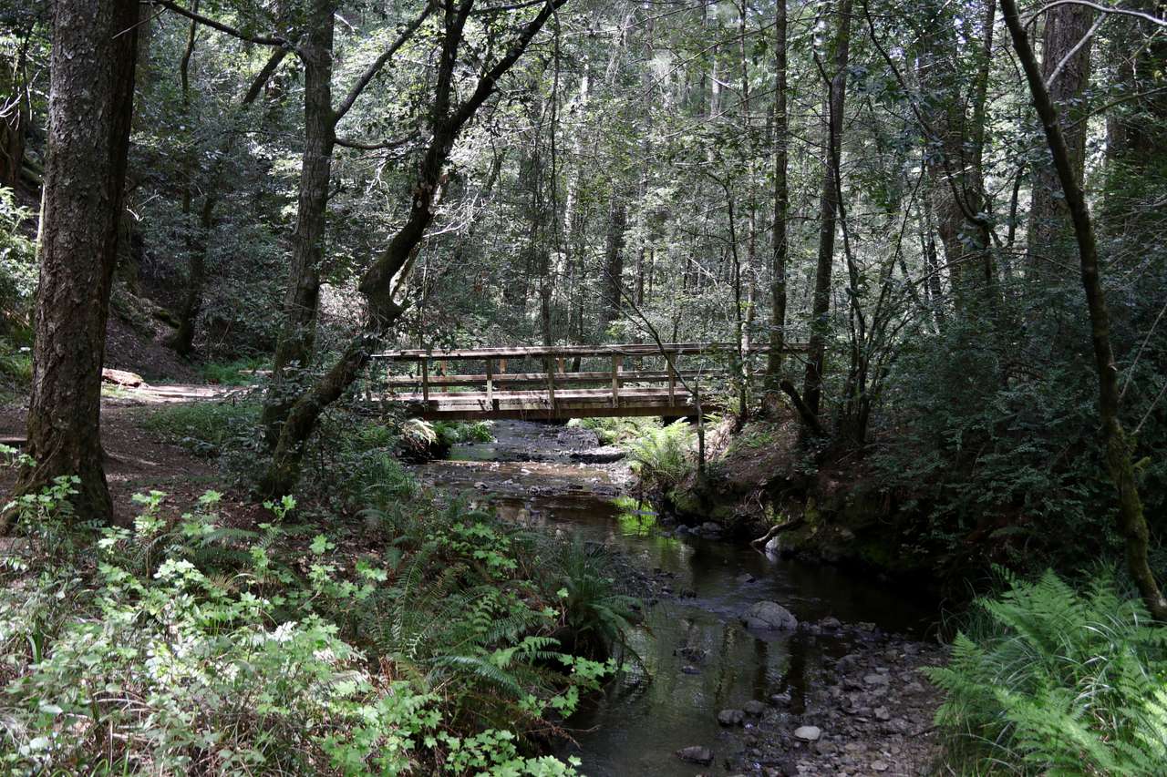 Walk to hiking trails