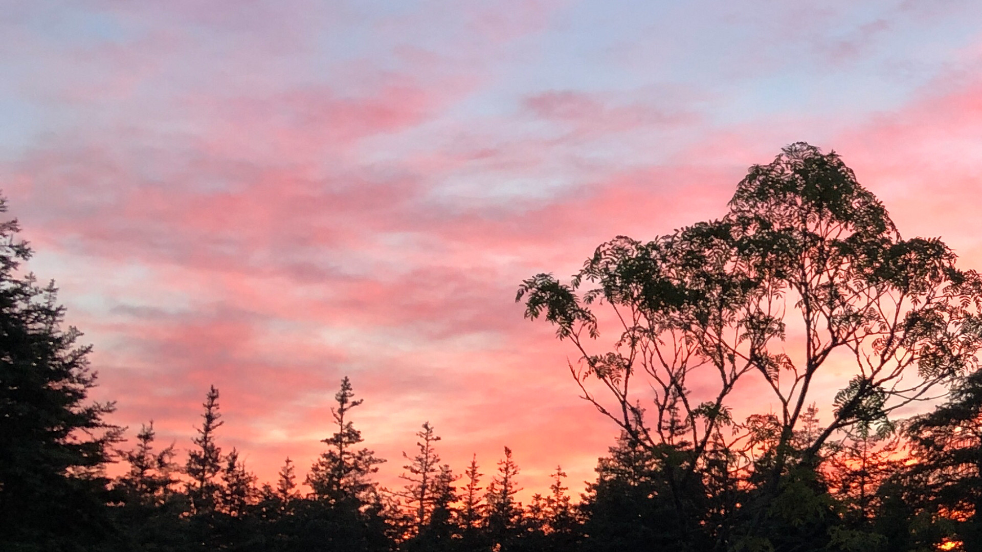 Another beautiful sunrise in Moser River. 