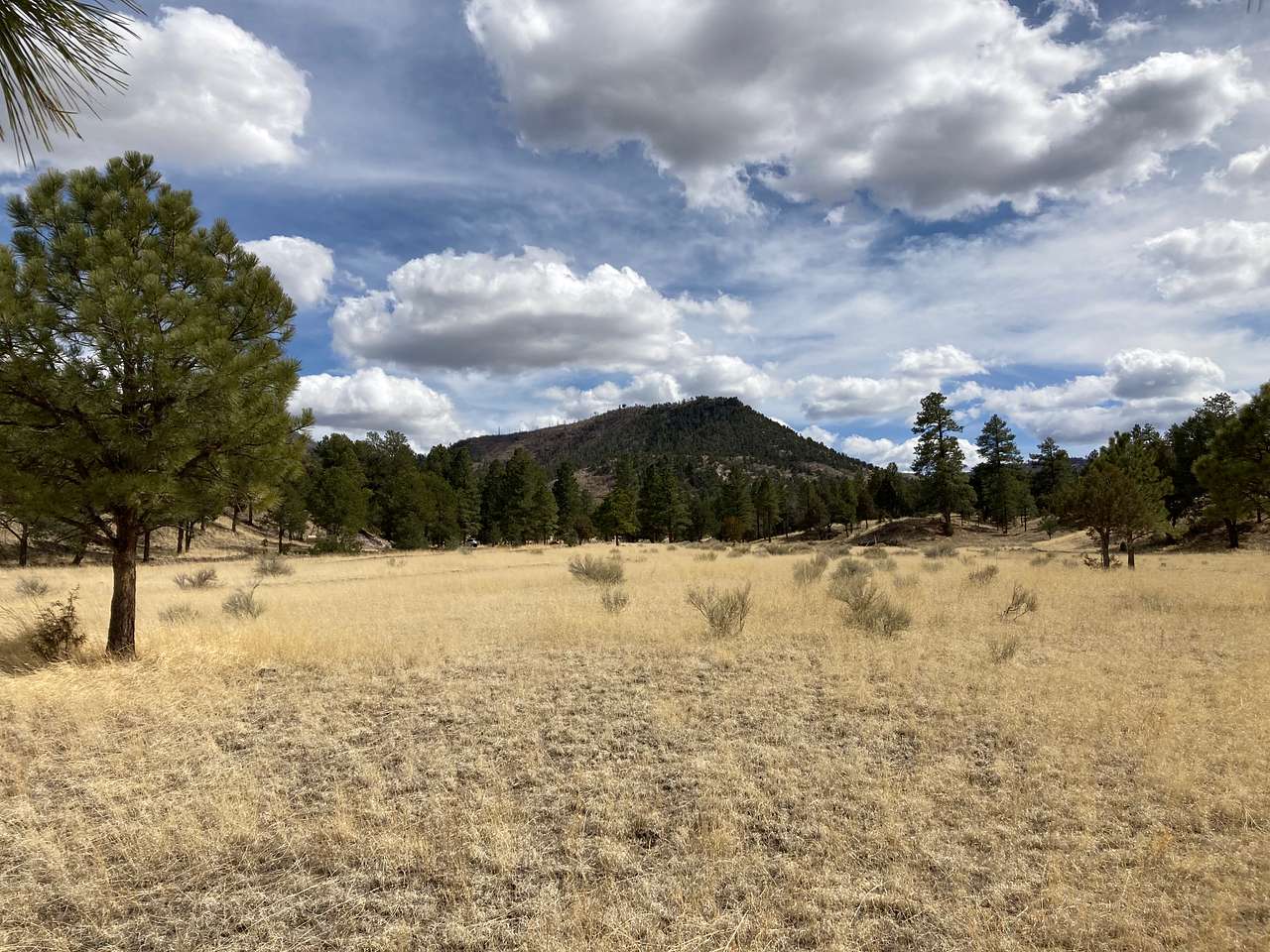 RV Site Option