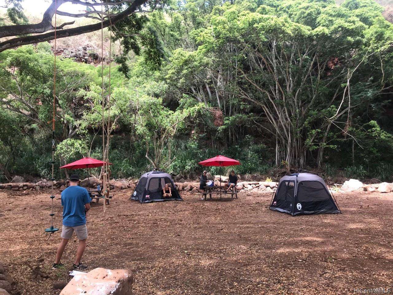 Holomua Farms