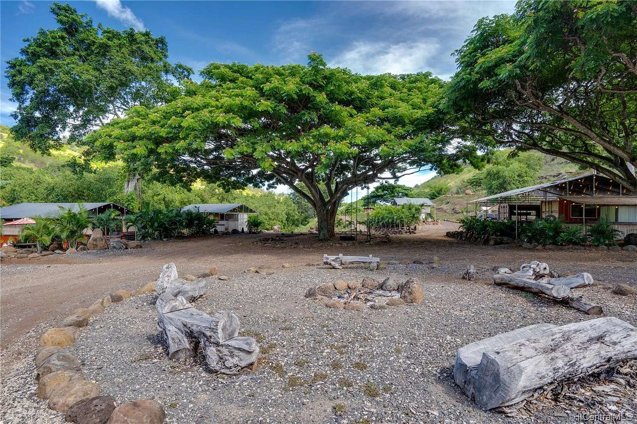 Holomua Farms