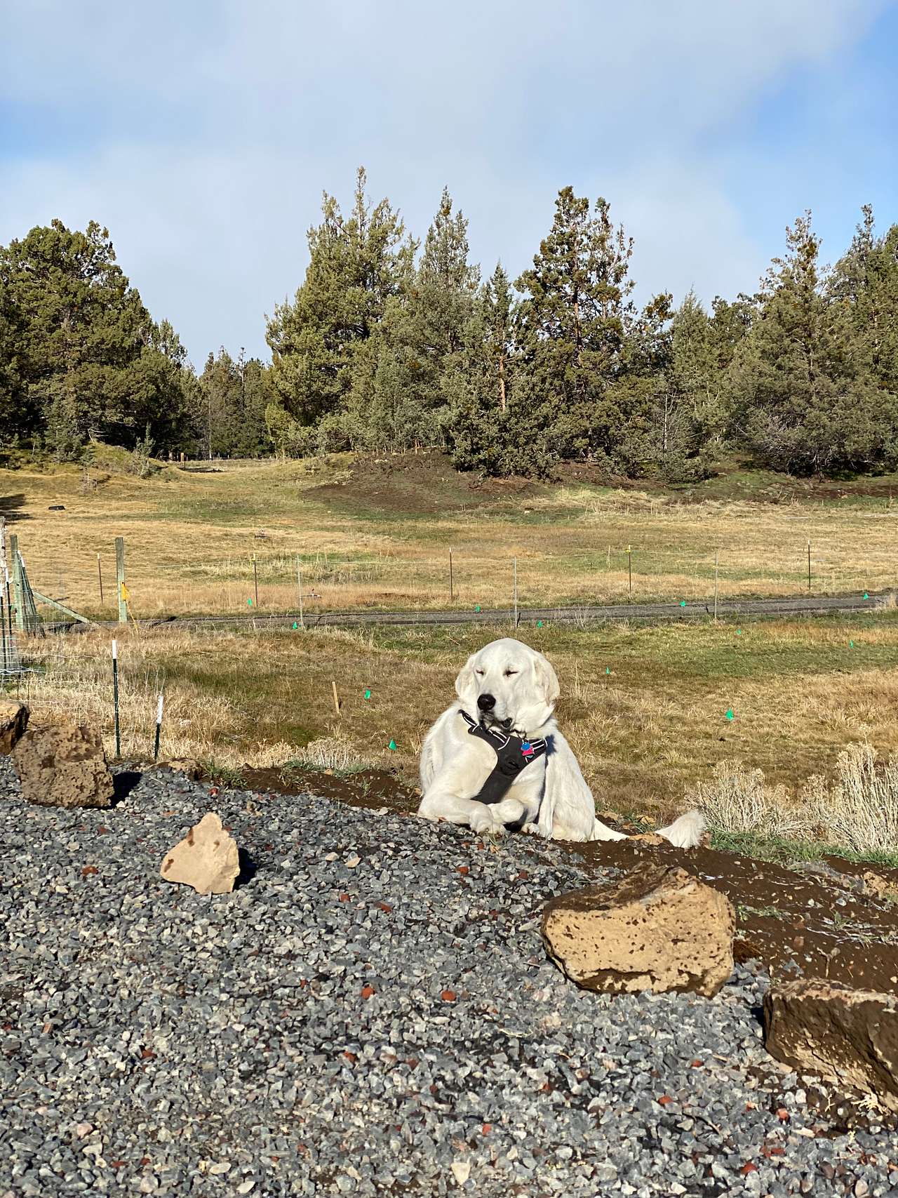 Golden Triangle RV Bend, Oregon