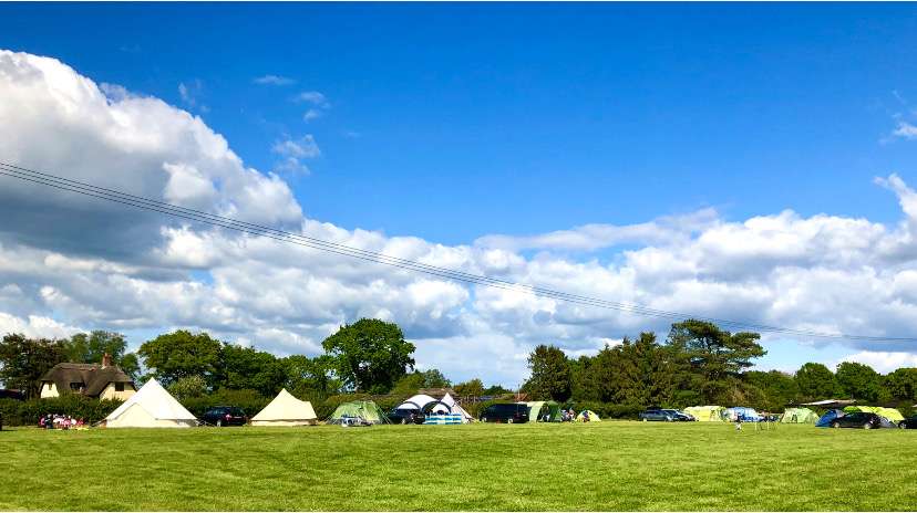Harry's Field New Forest
