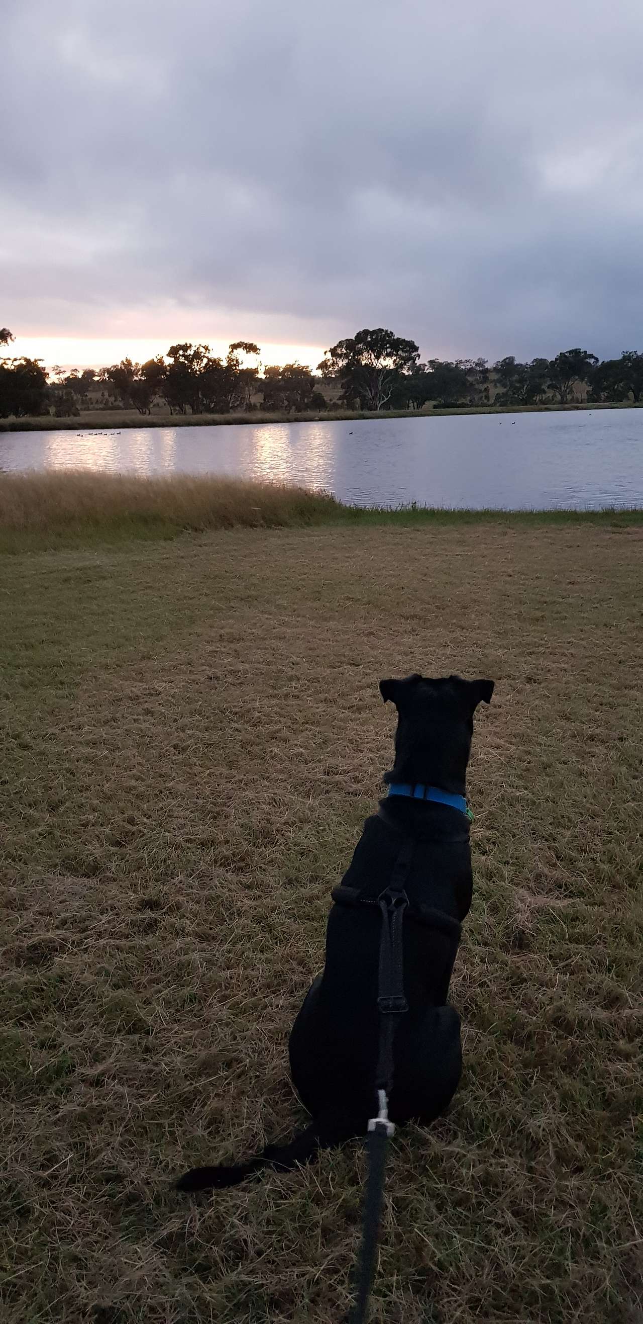 Carrington,  Views, Water and Space