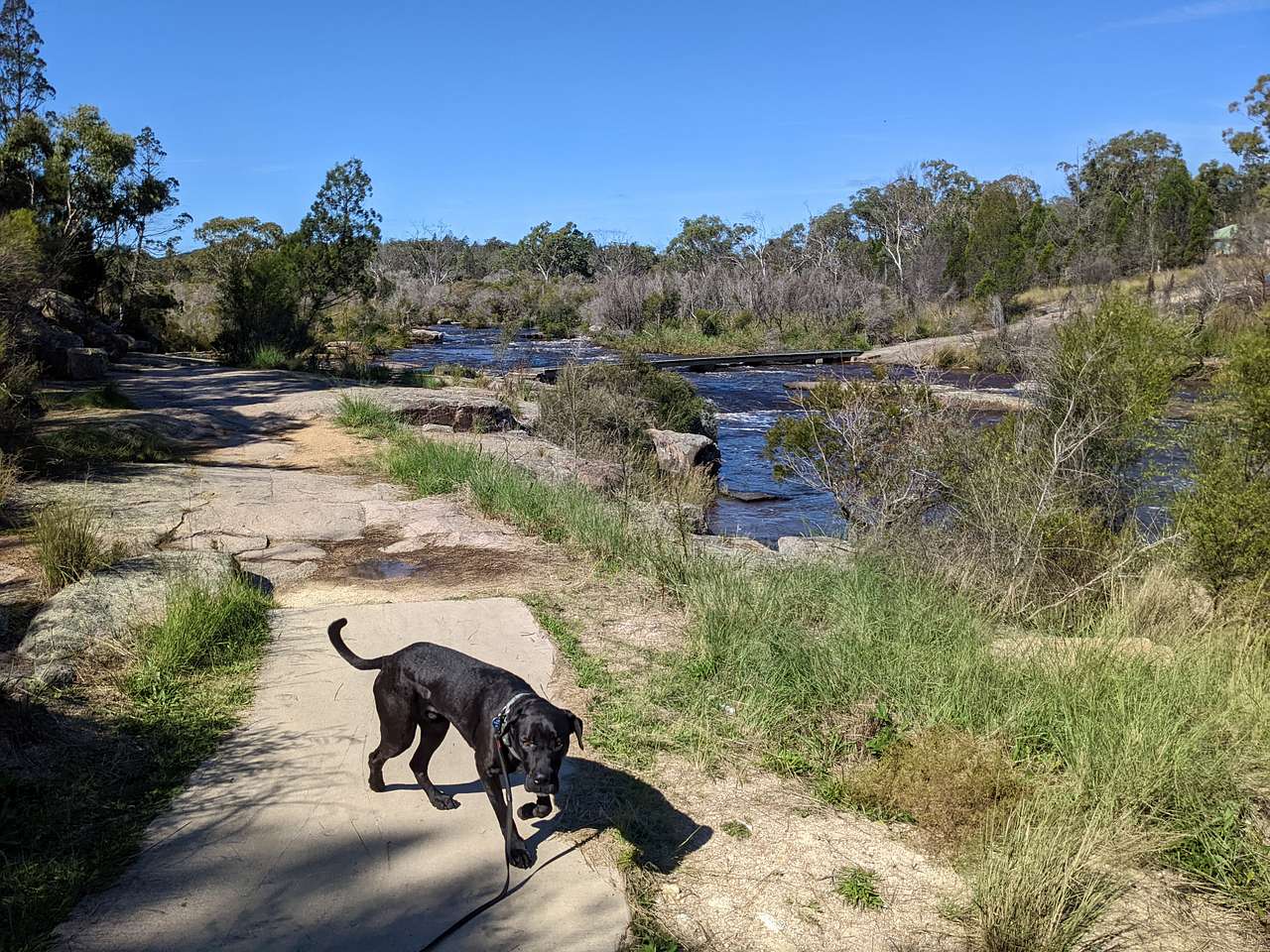 Bush Farm Camp by the Dam