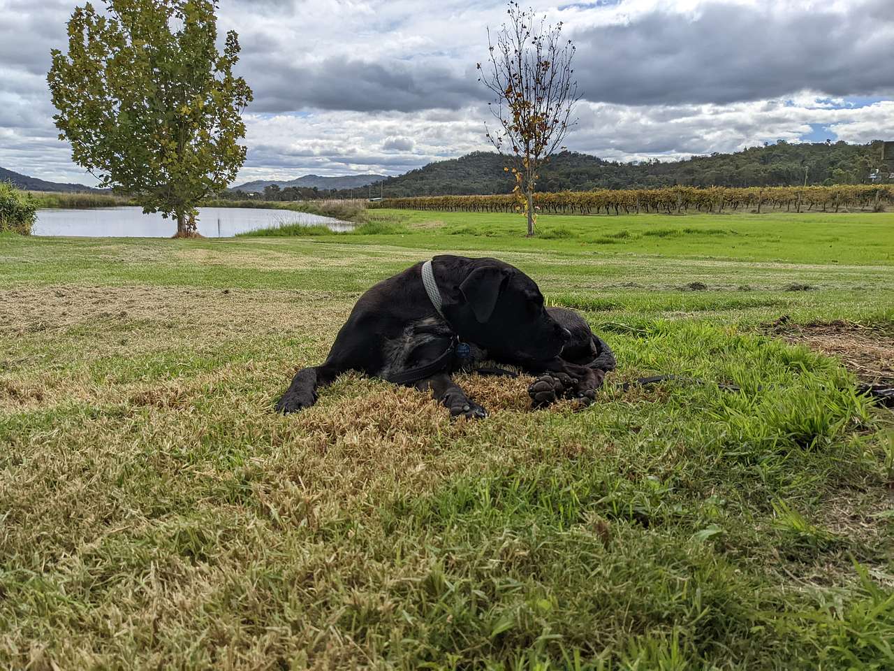 Bush Farm Camp by the Dam