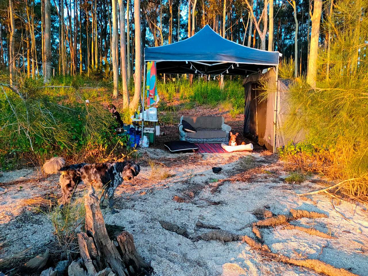 Set up with the sunset