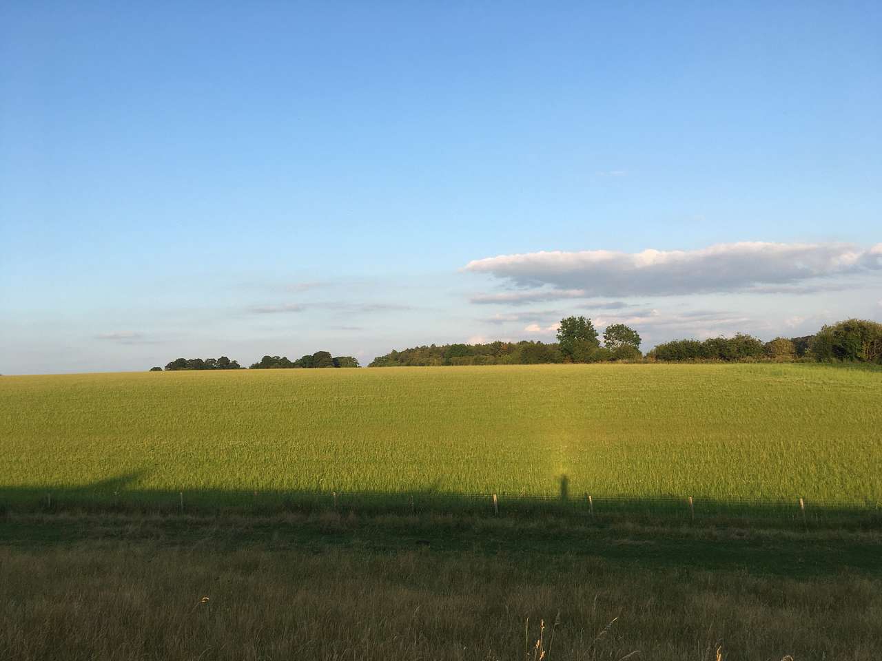 Wild Camping in the Cotswolds