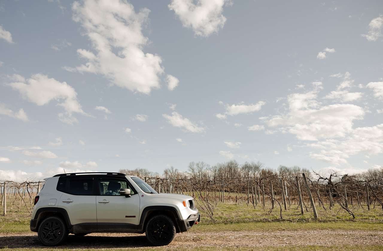 Hunt’s Hillside Vineyards