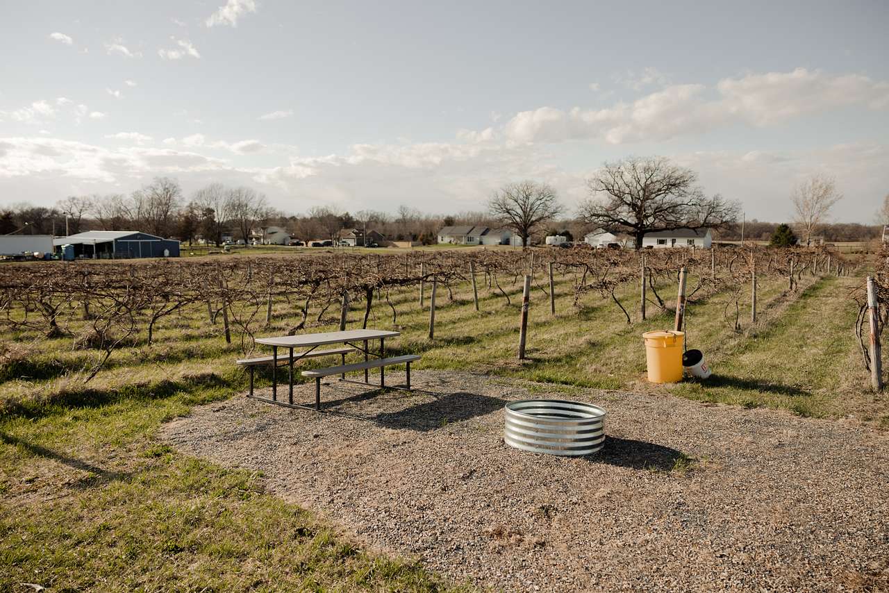 Hunt’s Hillside Vineyards
