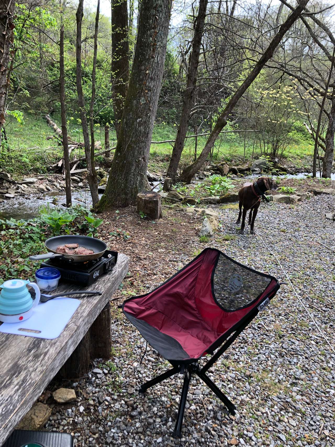 Reems Creek Retreat