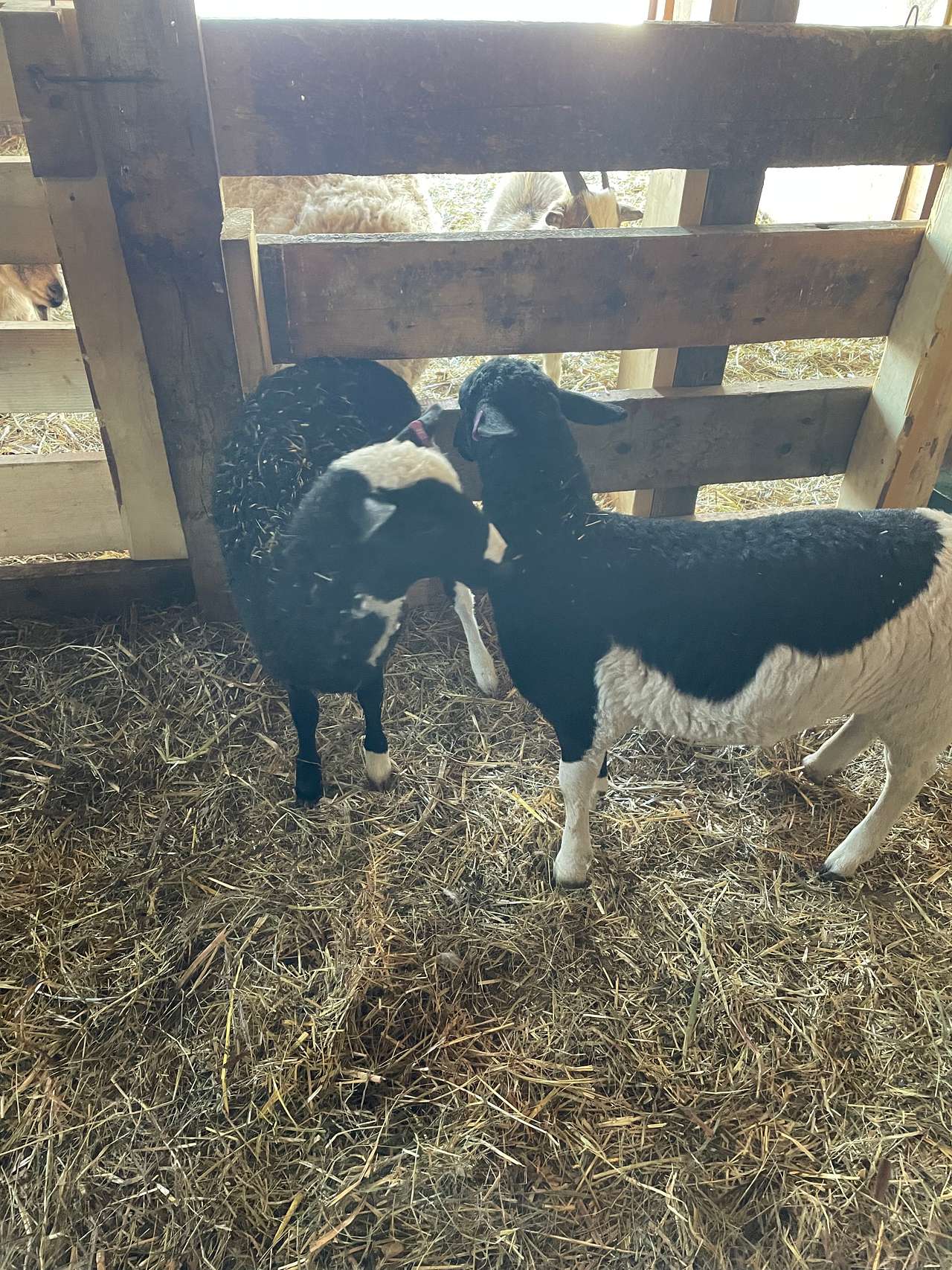 Red Rock Farm
