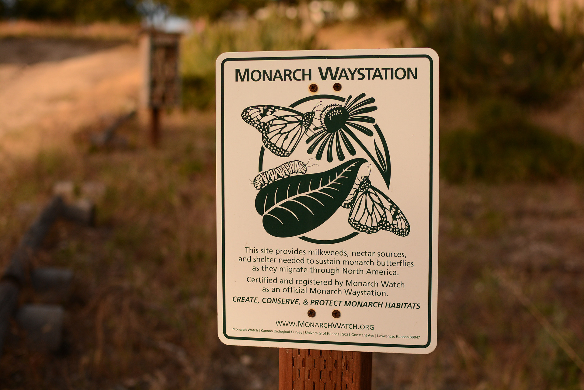 Monarch station.