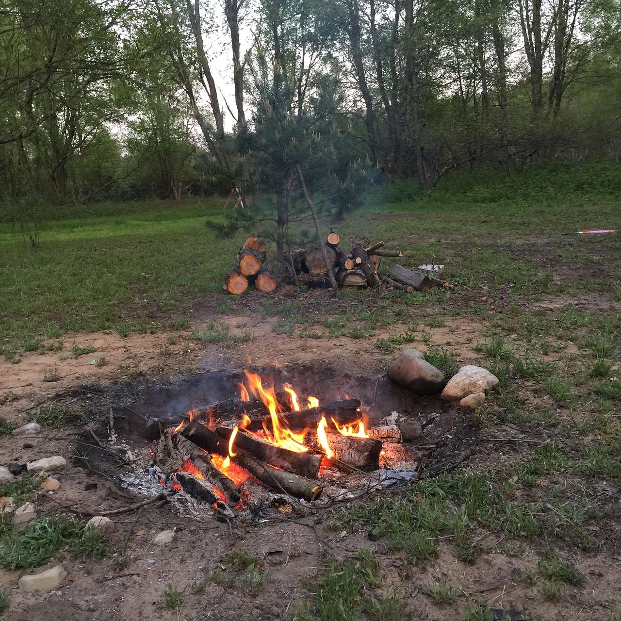 campfire with free wood
