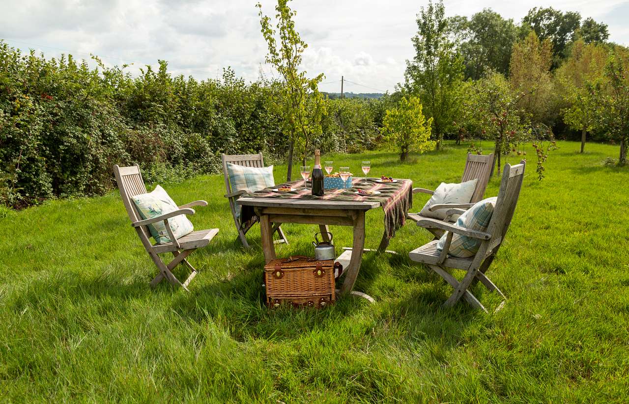 Downsview Vineyard