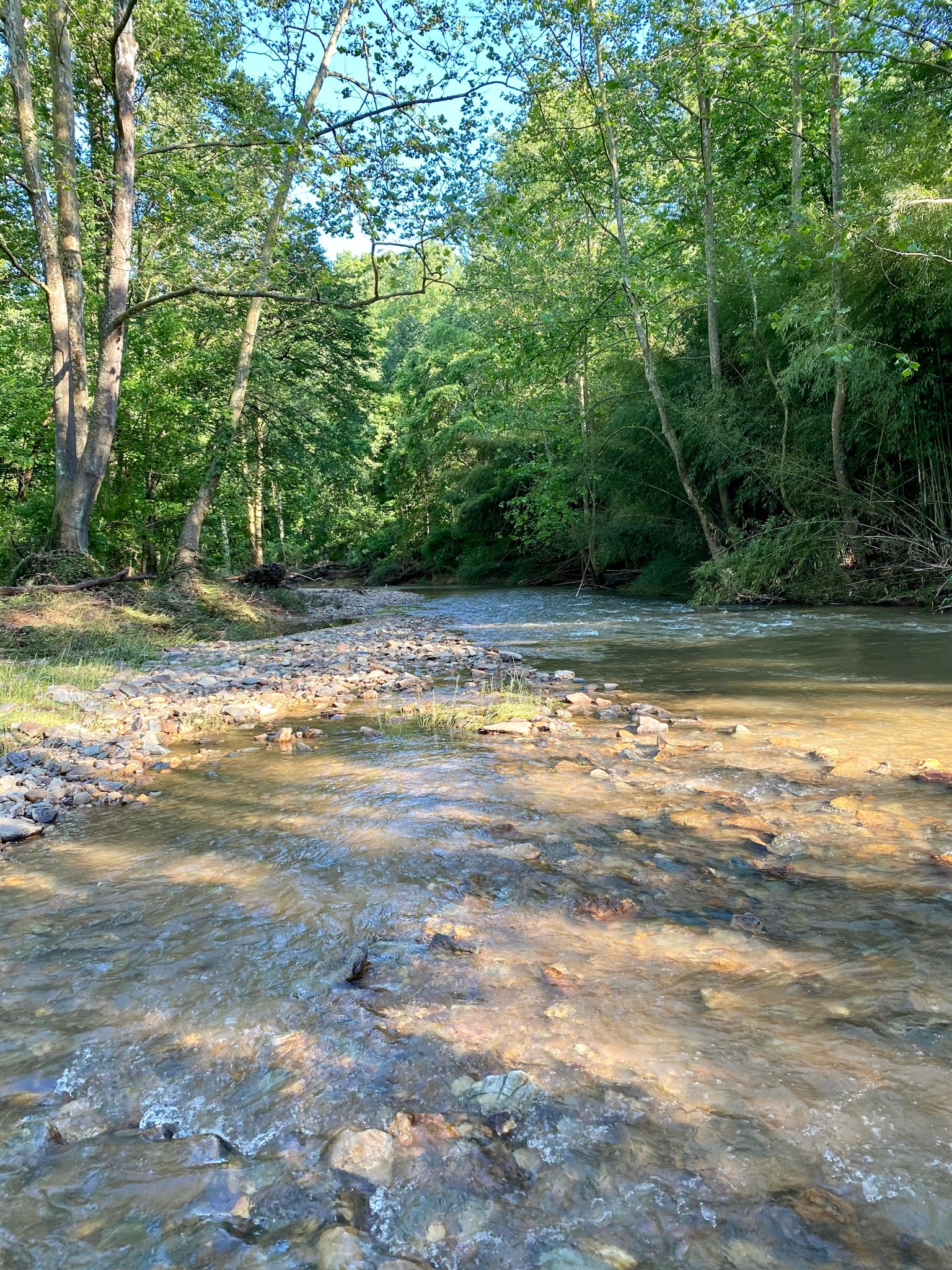 Creekside Orchard