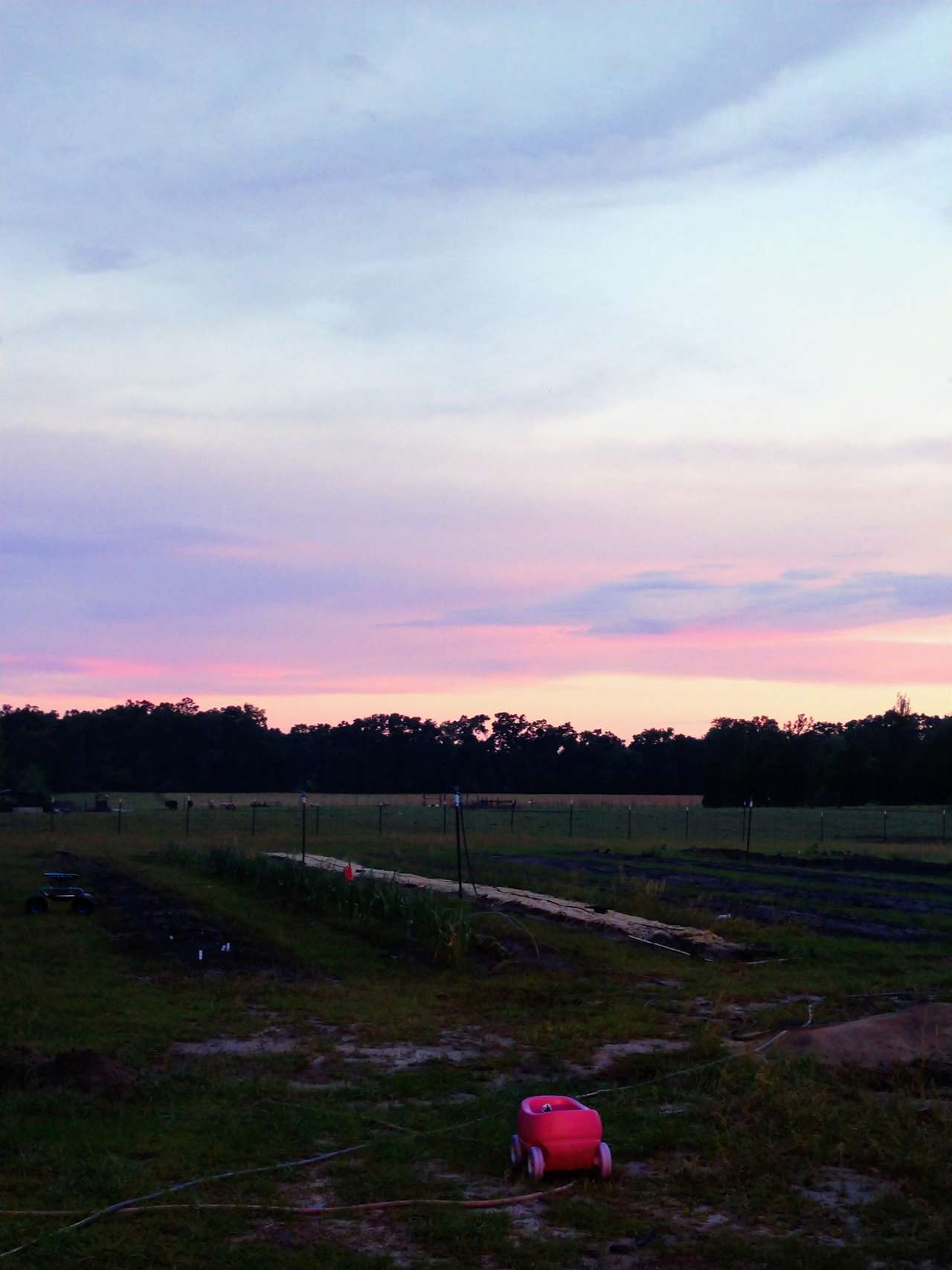 Sunny Meadow Farm
