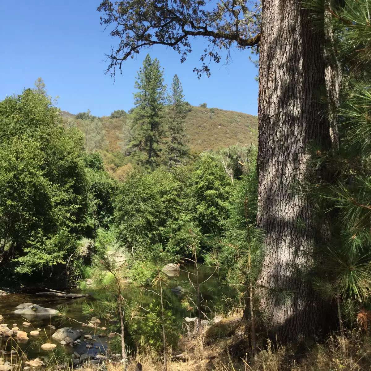 Cosumnes River Somerset Camp