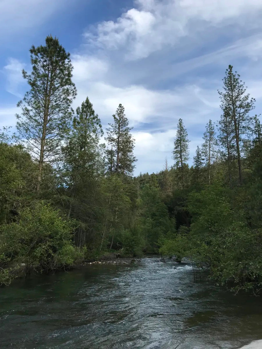 Cosumnes River Somerset Camp