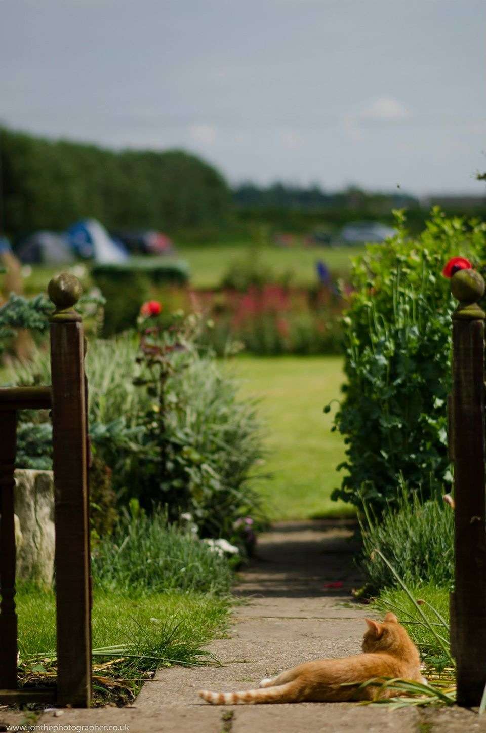 Four Winds Camping, Canoeing & SUP
