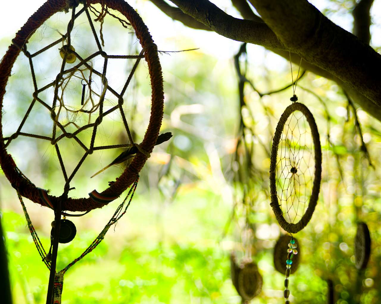 Seven Sister's Sanctuary
