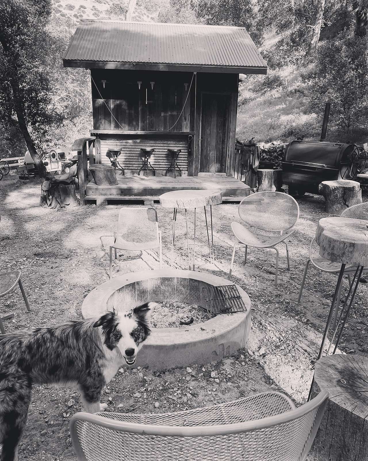 Communal bar, Star Bar, the bathroom is next to this structure