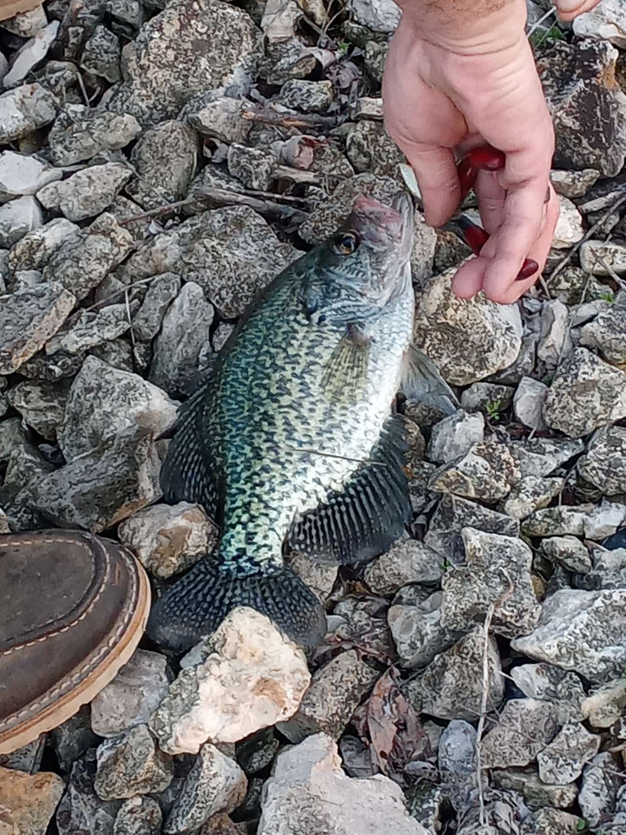 Good fishing
