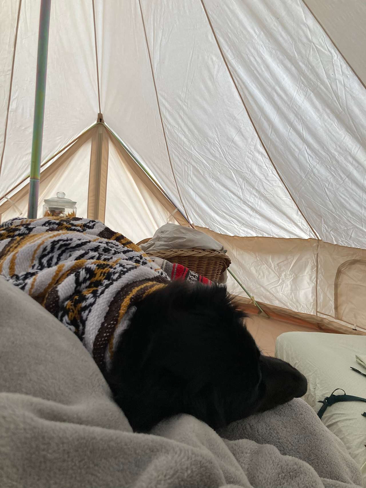 Sunflower Ranch Camping