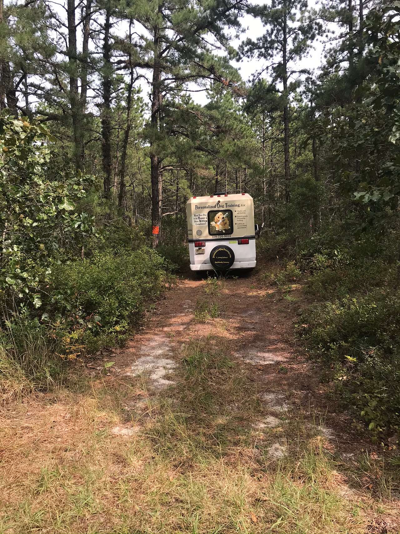 Campsite
