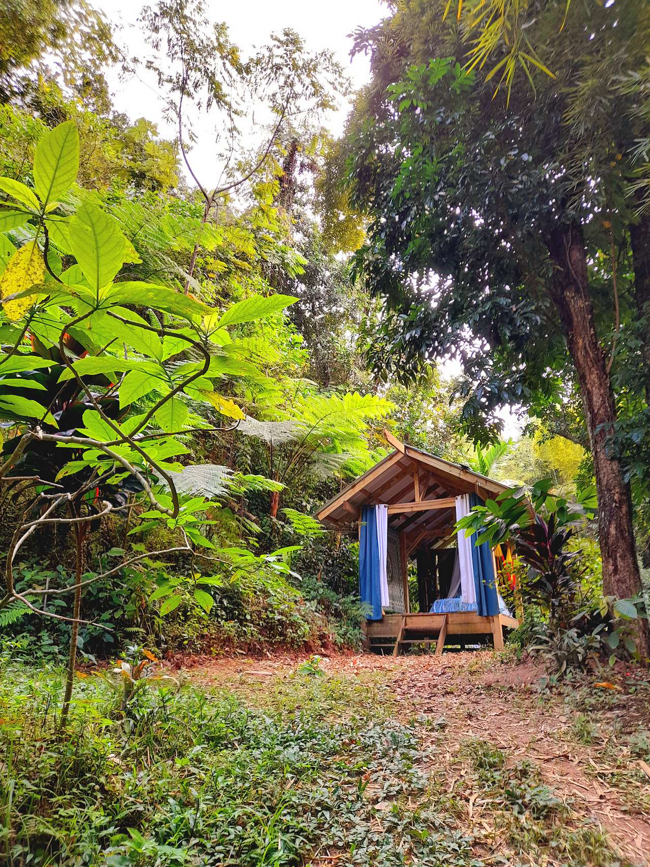 Finca Remedio Permaculture Farm