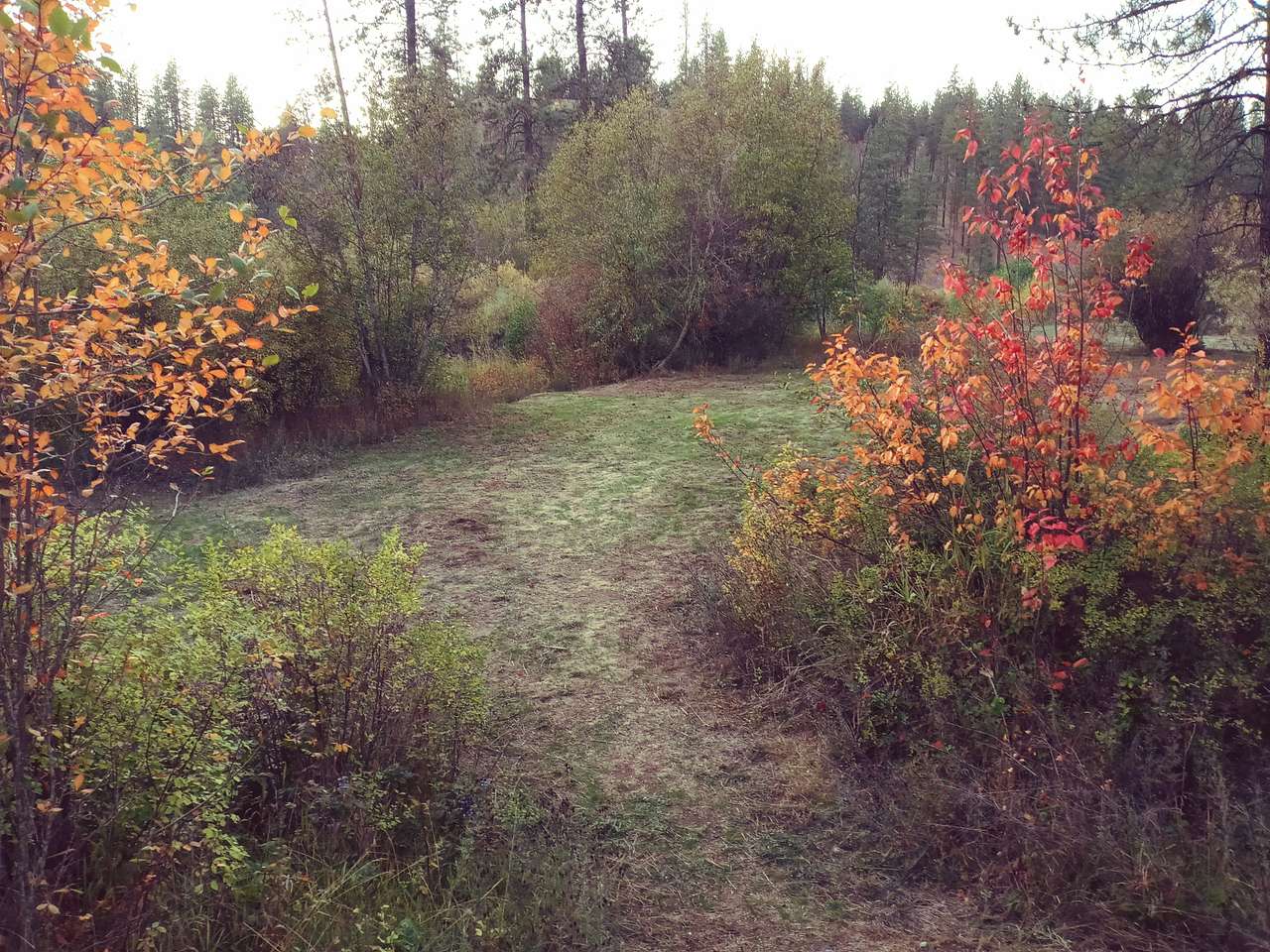 Creekside Camping 509