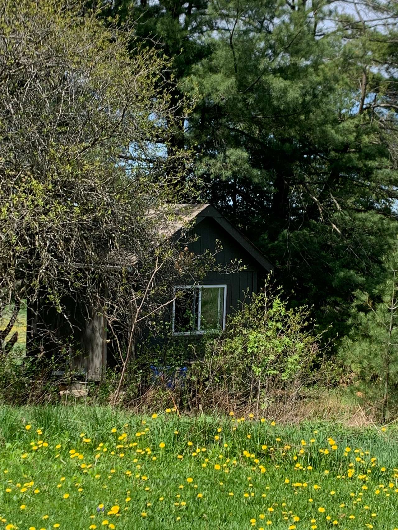 Welcome to the Bruce Trail Bunkie