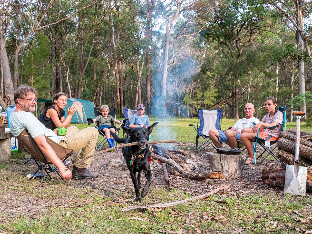 Bush Camp 1 - Autumn night 