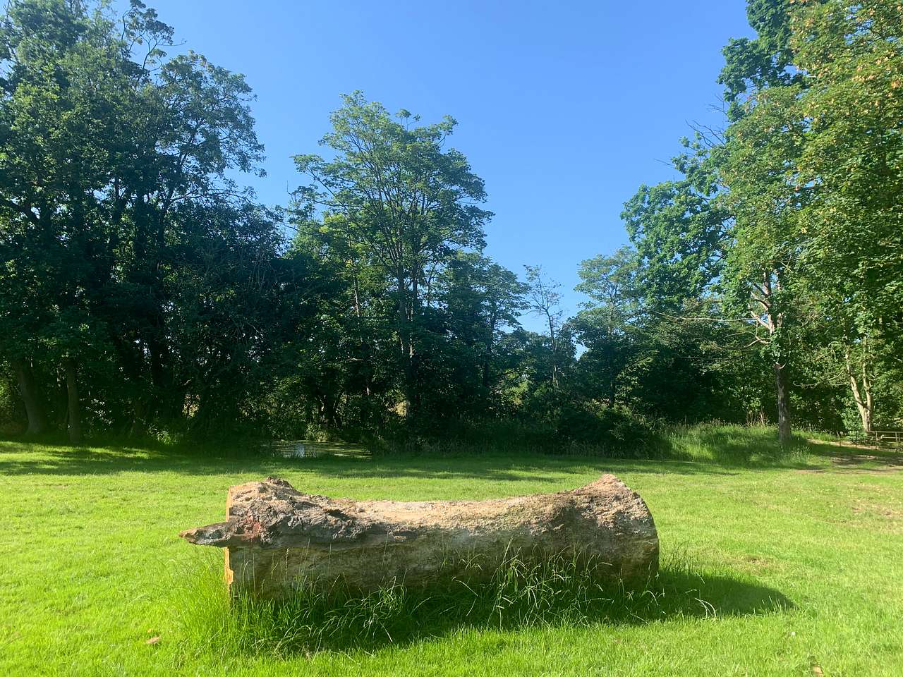 Archer’s Field