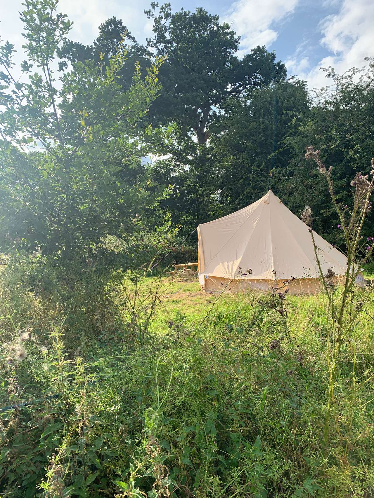 Archer’s Field