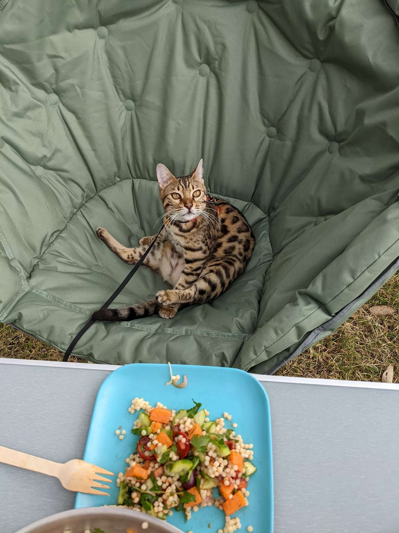 Canyon Country Camping, Glen Alice