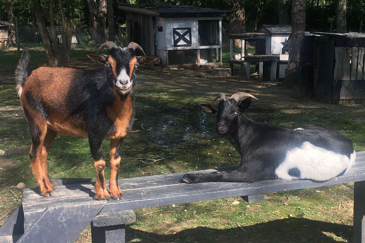 Goat Farm Hide-Away CVNP