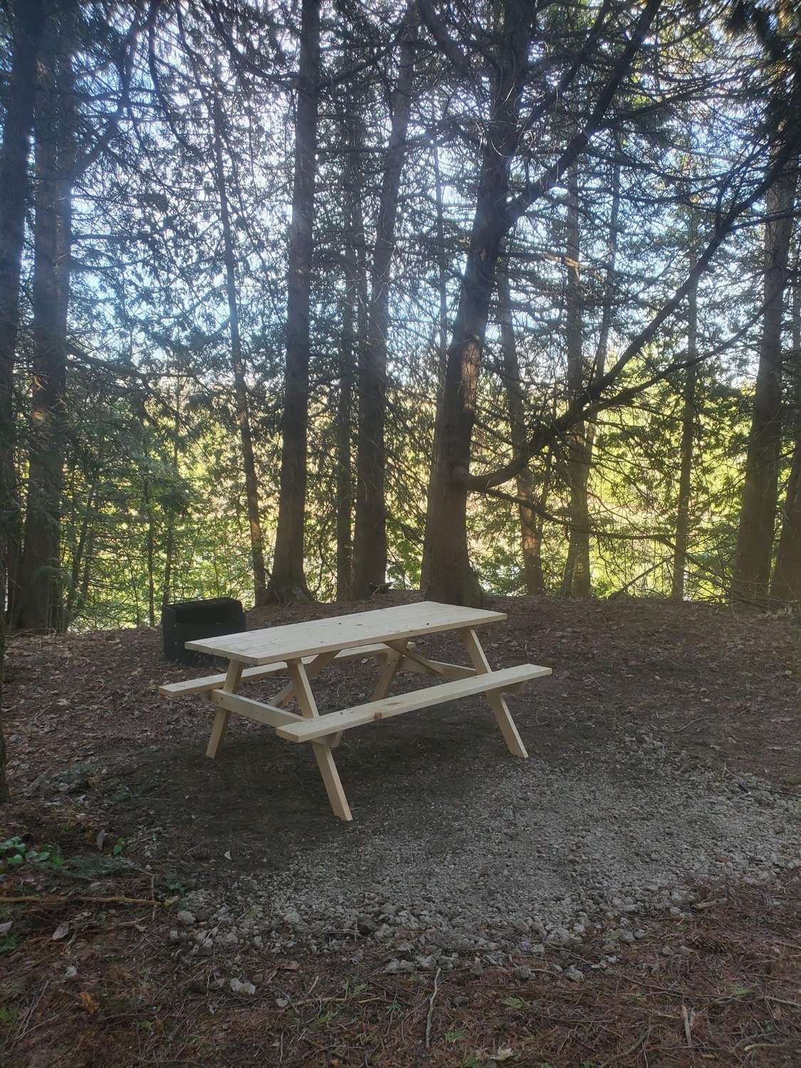 Misty Meadows Eco Retreat