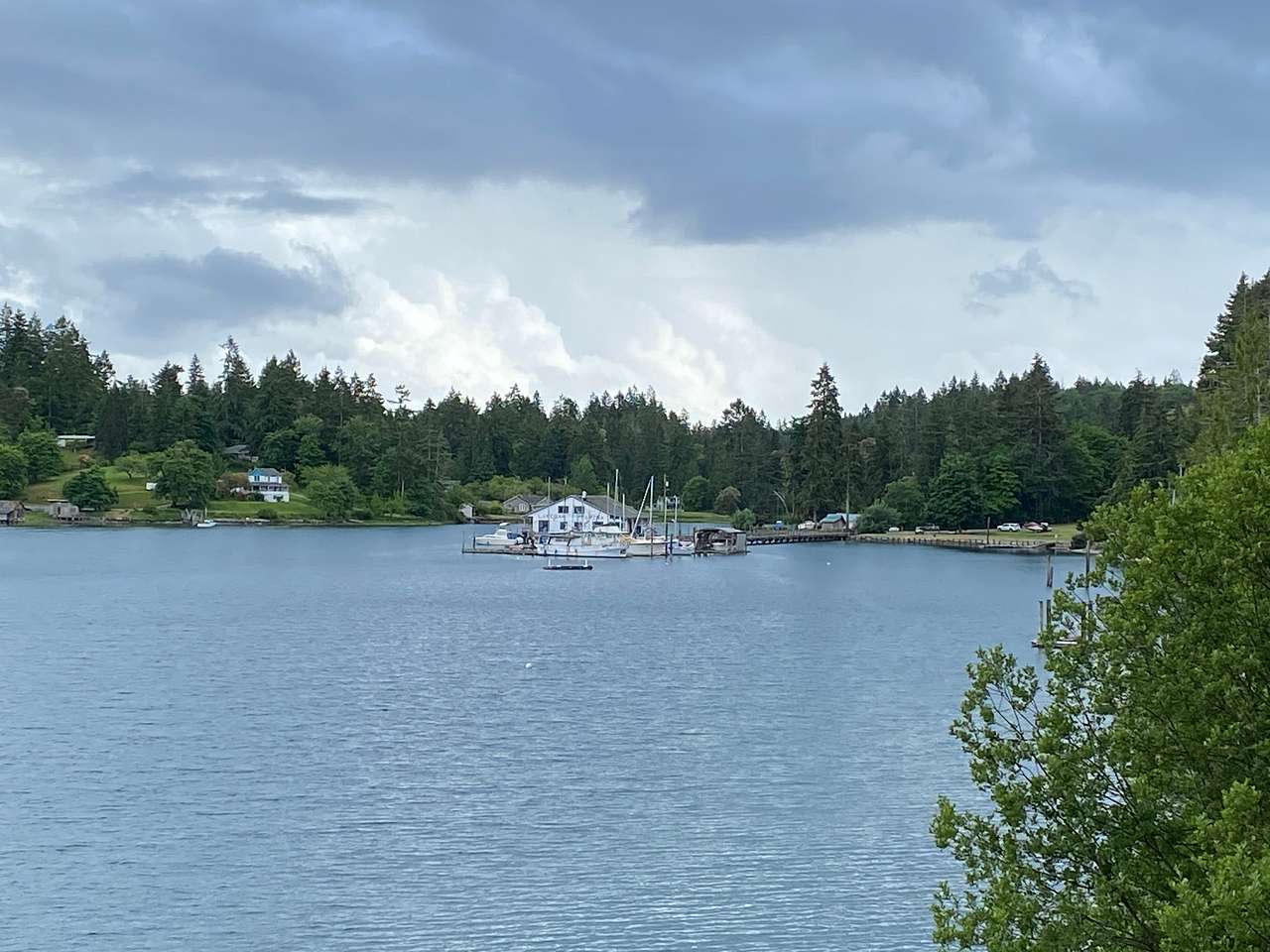View of marina from water