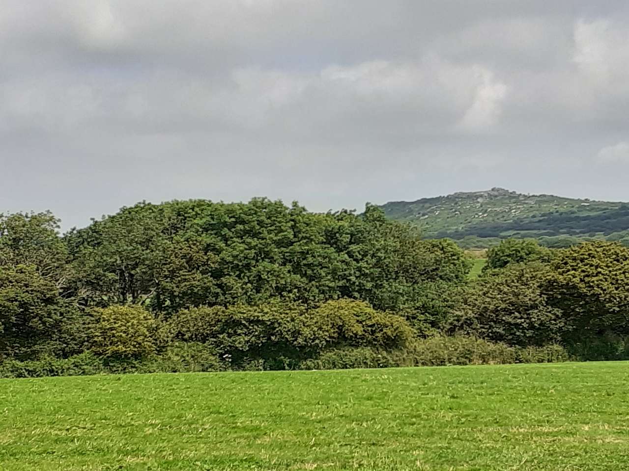 The Camping Field
