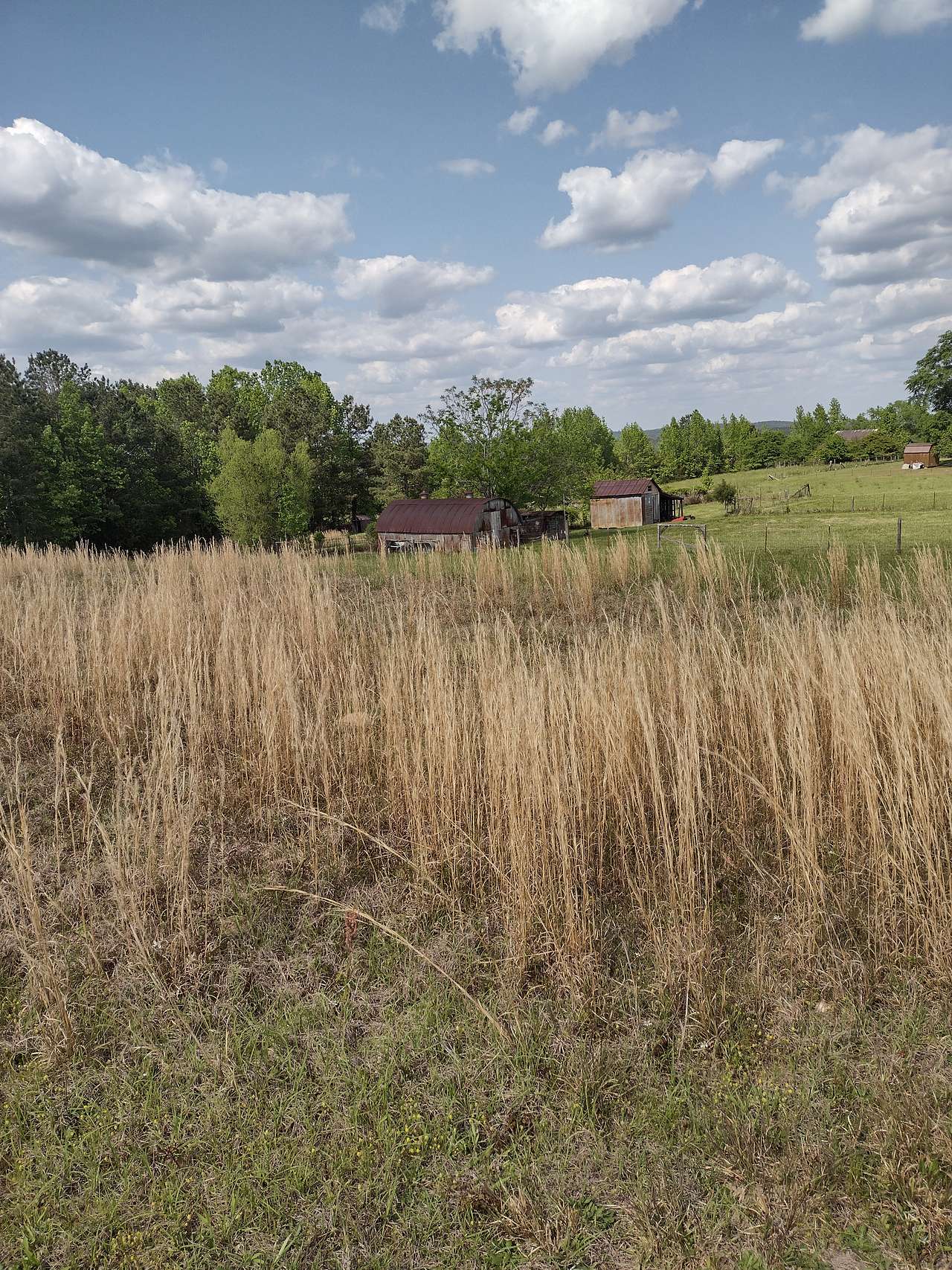 Wateree Recreation